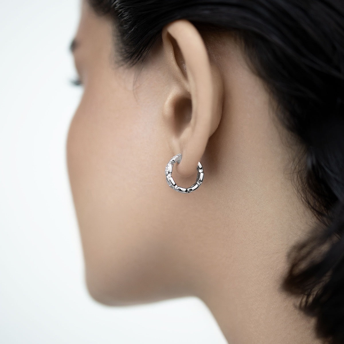 Felsenglanz Ohrringe